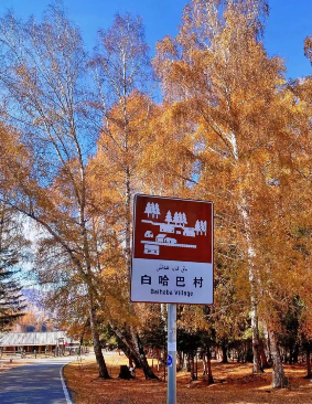 食在阿勒泰，三种不同的美食人生