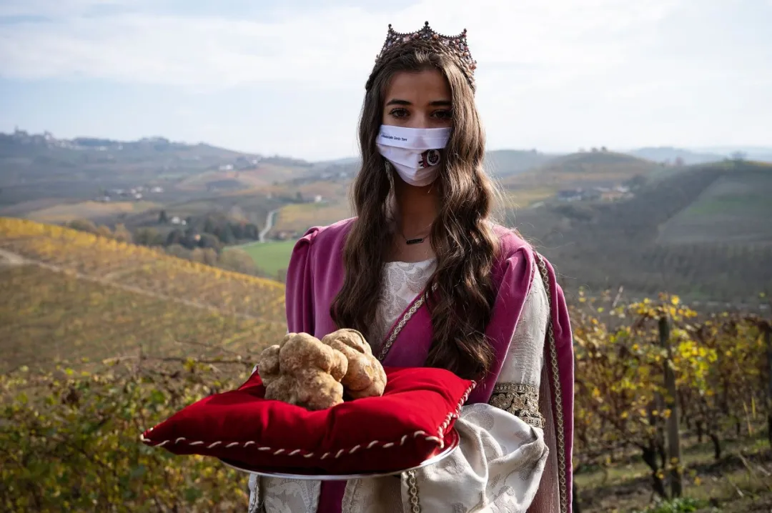 顶级奢侈食材黑松露