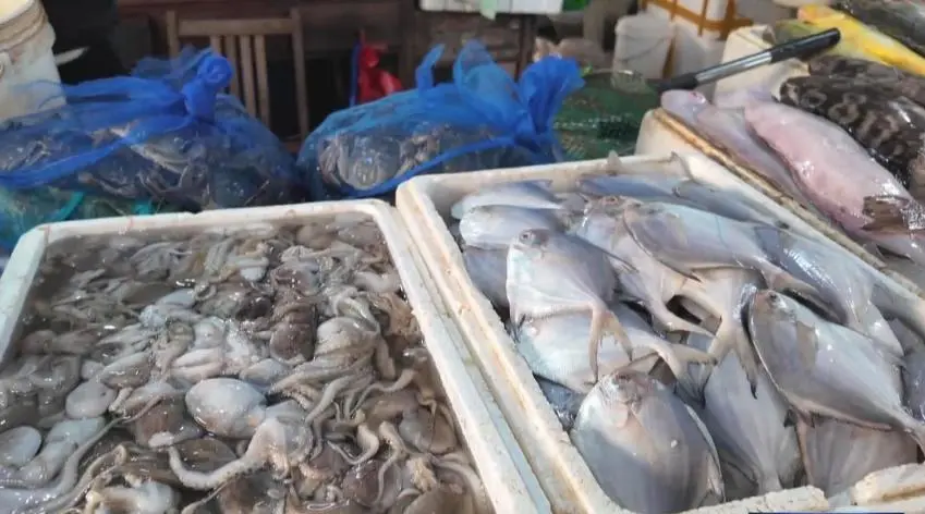 海鲜物美价廉迎消费小高峰