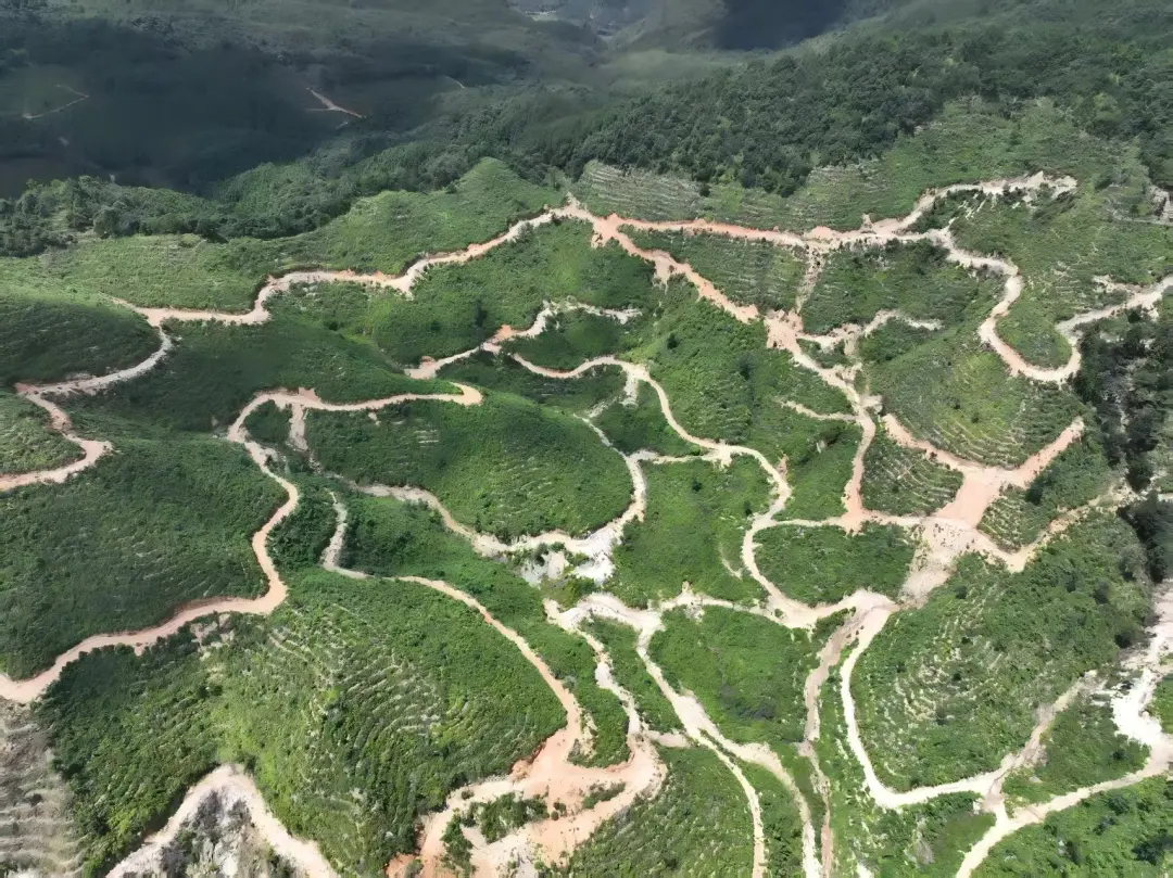 药食同源赛道加速破圈 ，全产业链估值超过2万亿元