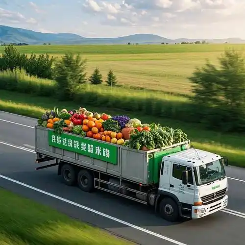 农产品供应链现状与未来发展前景