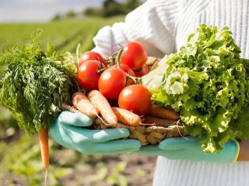 河源加快培育优质农产品推进放心食材进校园现场会召开