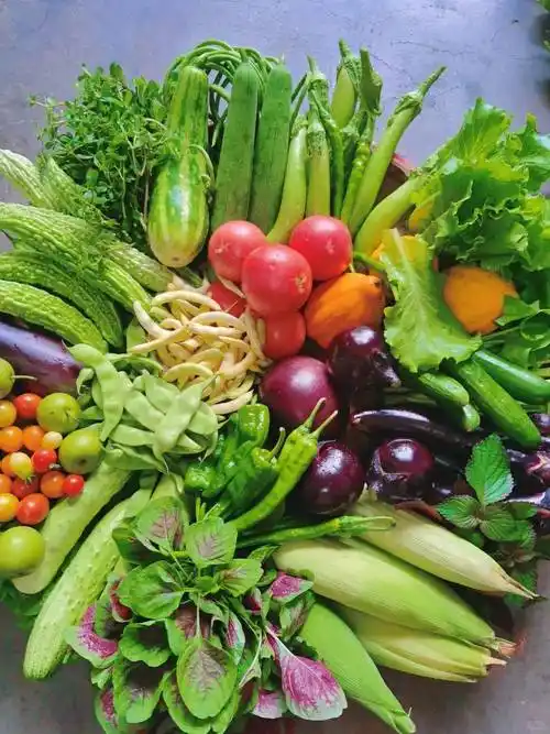 当餐当季蔬菜每日报价表