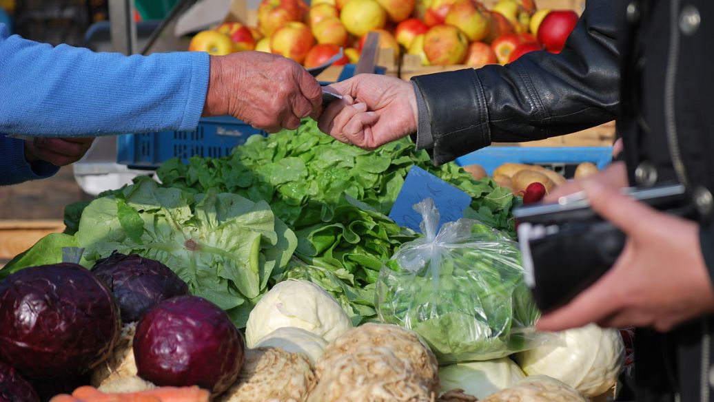 当餐批量采购议价技巧