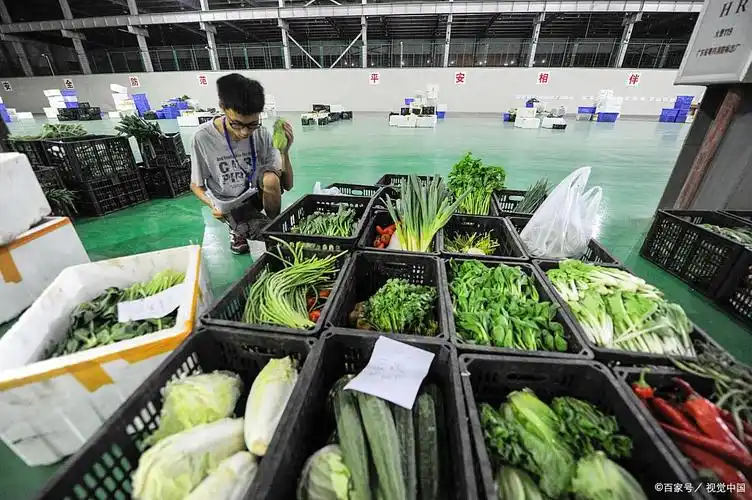 当餐食材供应链如何解决困扰餐饮老板的采购配送难题