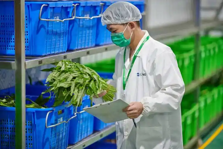 餐饮采购陷阱解析