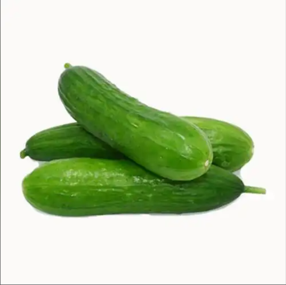 黄瓜作为一种日常饮食中常见的蔬菜，虽然外表普通、价格亲民，但其营养价值远超普通人的想象。