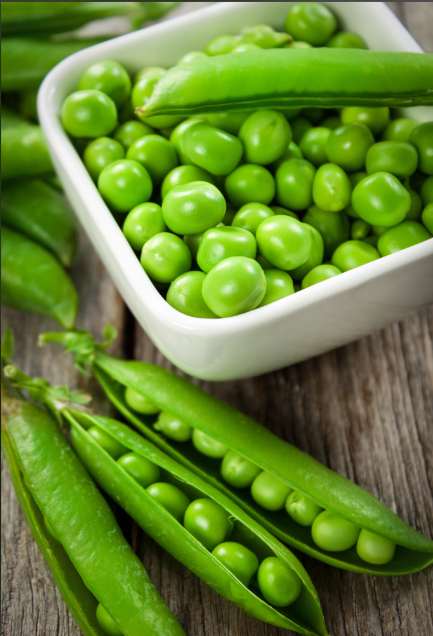 小小豌豆，除了当射手以外，原来还可以....