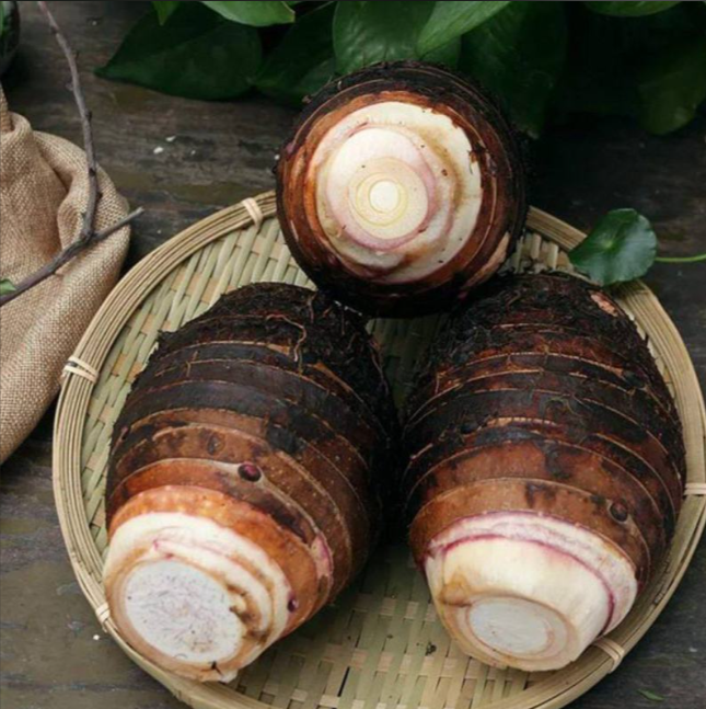 芋头作为一种传统食材的健康功效