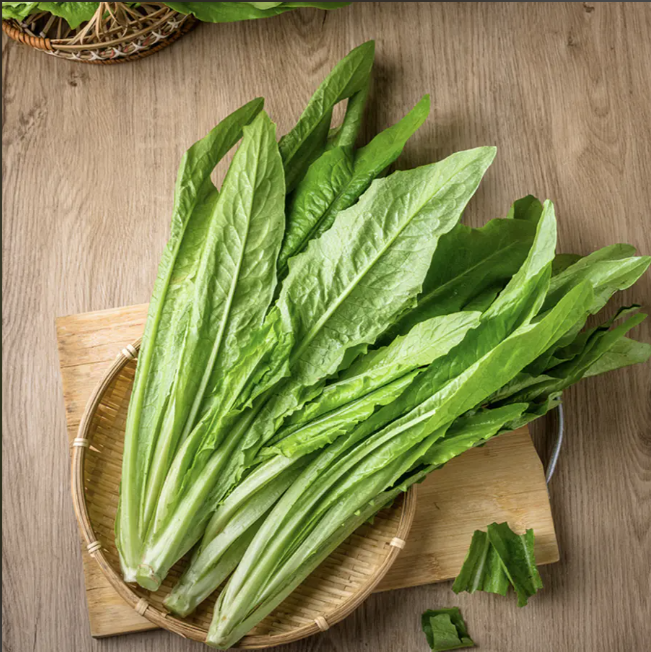 油麦菜又称"凤尾菜"或"苦苣"