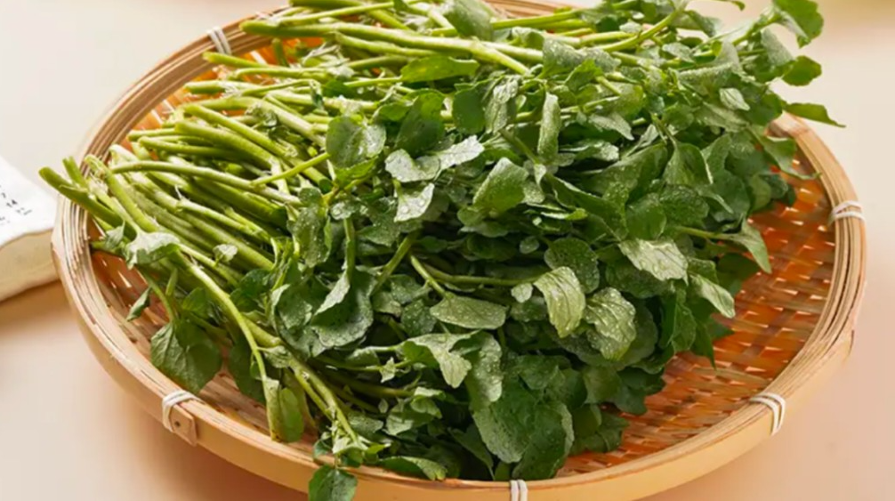 西洋菜，学名Nasturtium officinale，又称豆瓣菜、水田芥、水芥菜