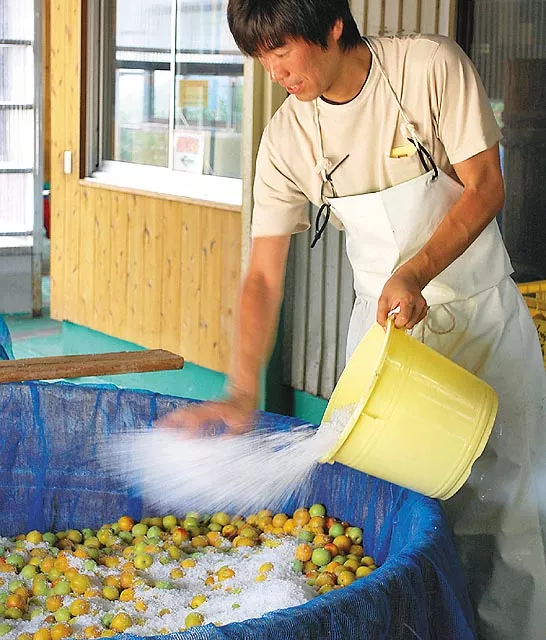 【2026/3/14】巴东求职招聘信息