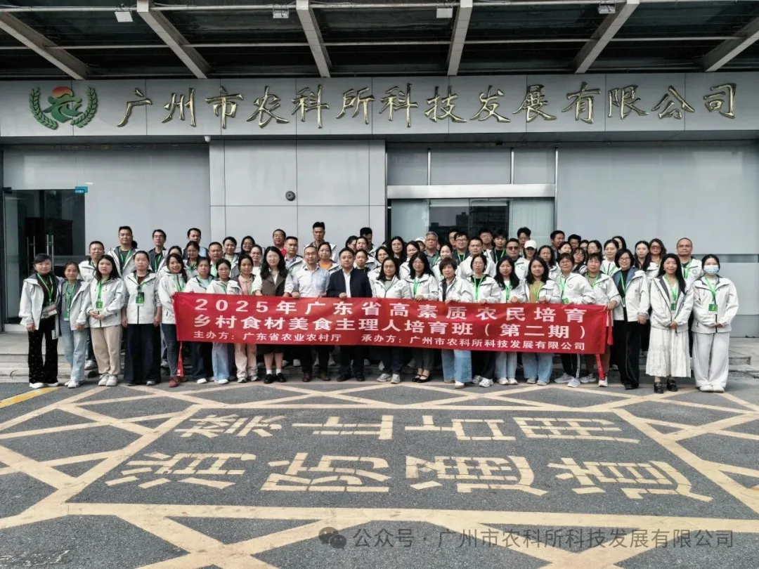 粤乡食材启新程 美食人才促振兴