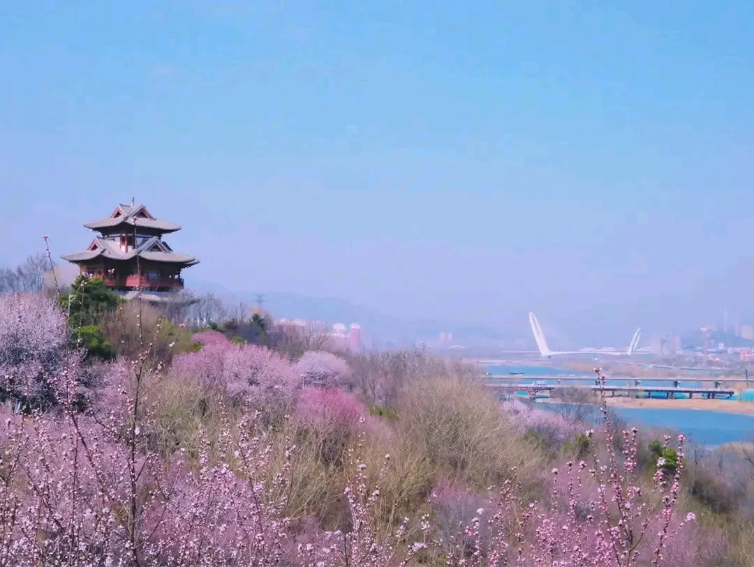 春季辅食避雷！3种“营养食材”正在伤娃脾胃