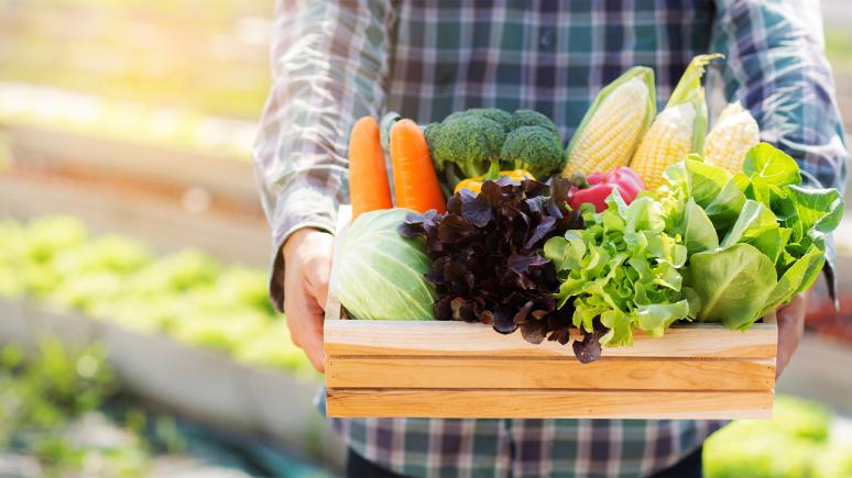 餐饮食材供应链管理方案
