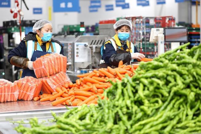 当餐生鲜供应链配送方案