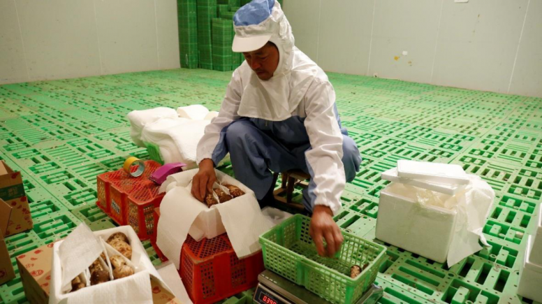 食材损耗行业标准和解决方案