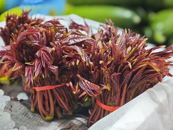 这些春菜，春季食用最适宜