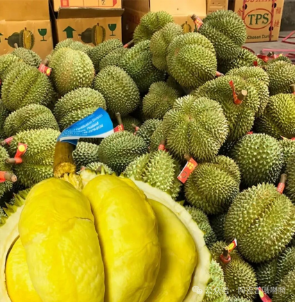 头一次感受到榴莲的杀伤力，果肉做美食、果核种盆栽、壳子做装饰