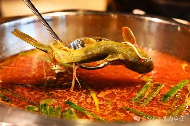 黔味封神    教你正确打开贵州美食的大门