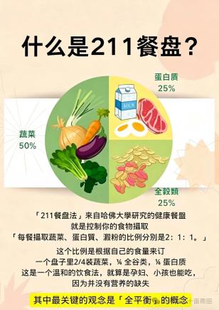 哈佛211餐盘饮食法|均衡饮食 健康减脂