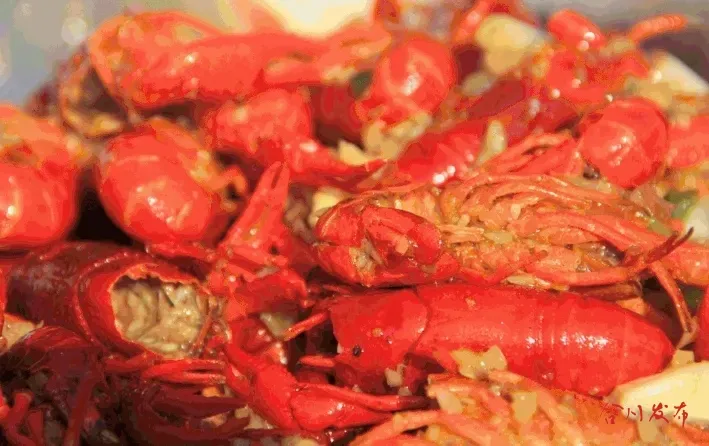 重庆合川美味出圈!二郎小龙虾“闯”出大市场