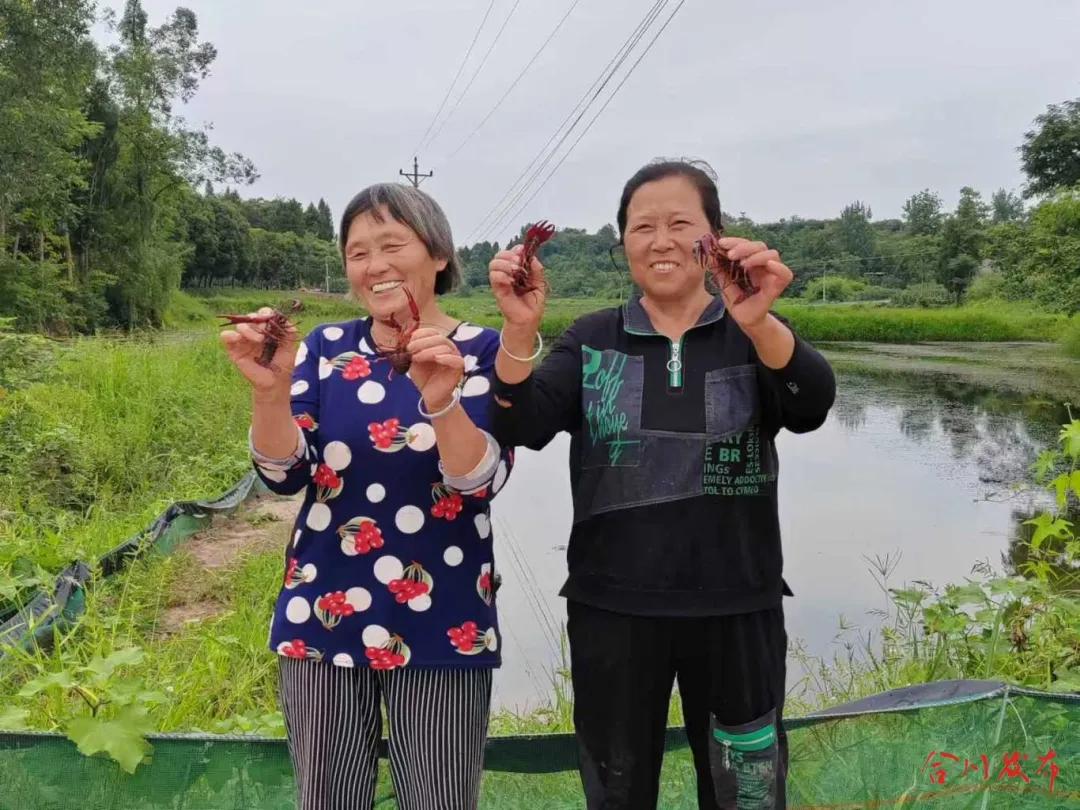 重庆合川美味出圈!二郎小龙虾“闯”出大市场