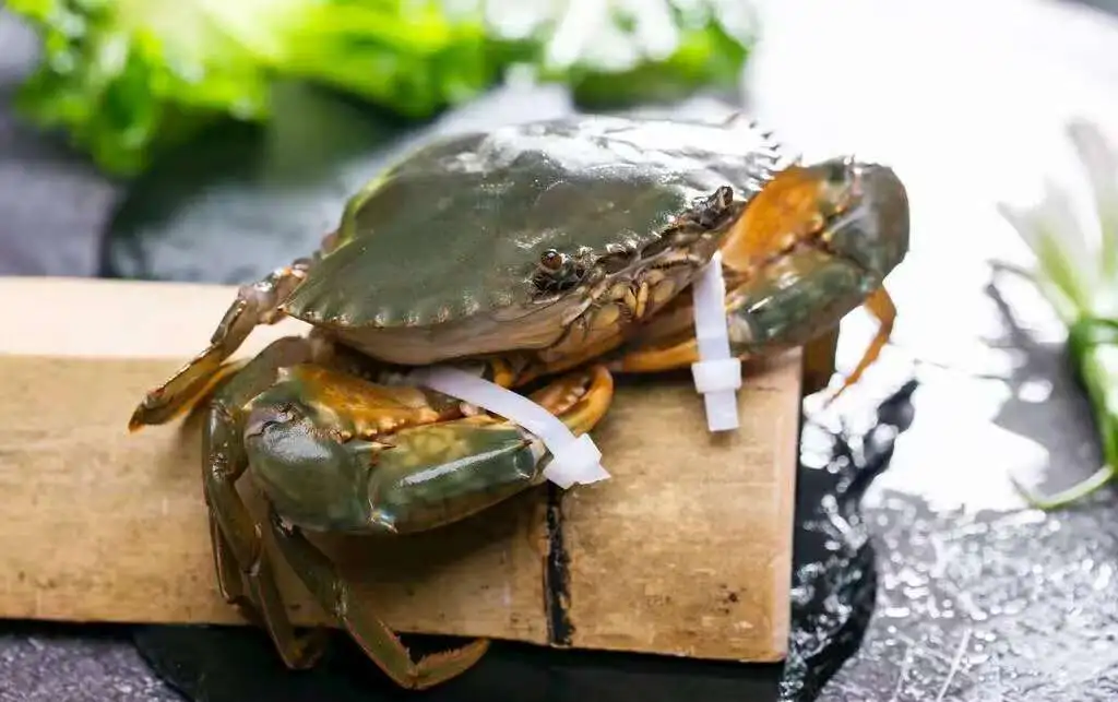 生鲜食材推荐青蟹