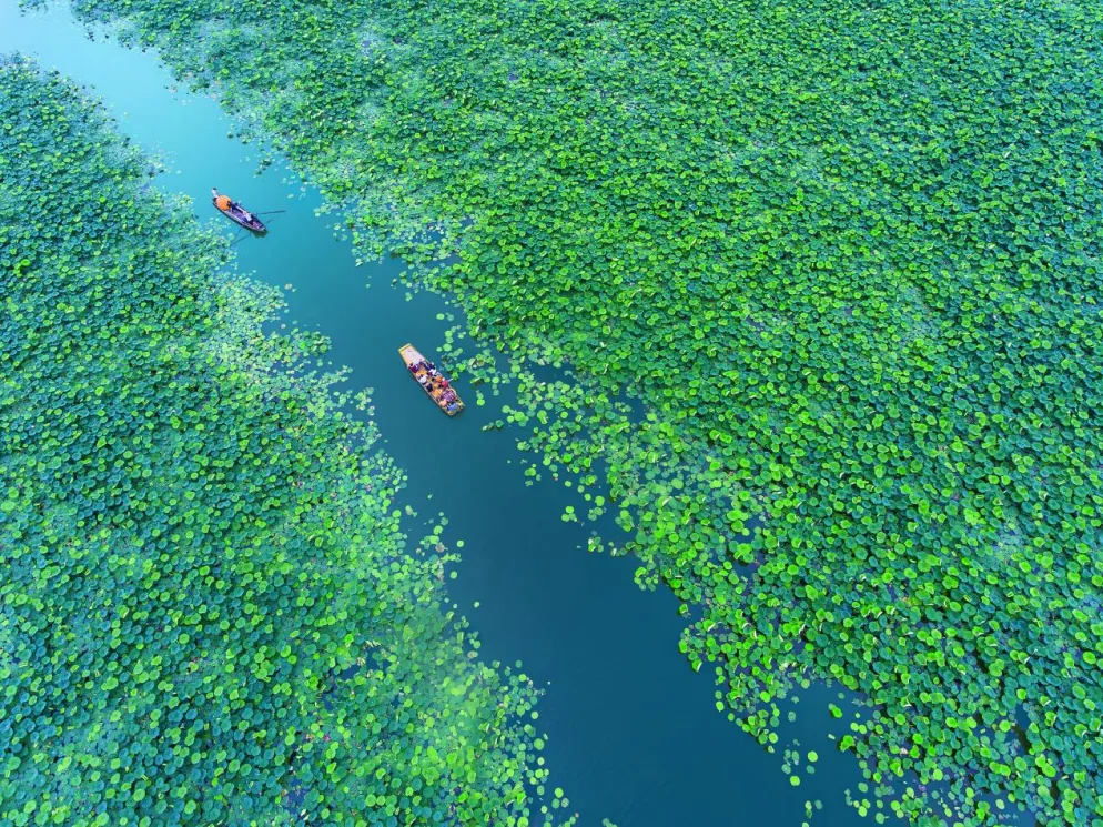 广东启动“跟着美食去旅行”文旅消费促进活动,激发美食消费新活力