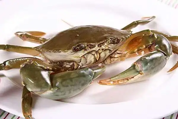 生鲜食材推荐青蟹