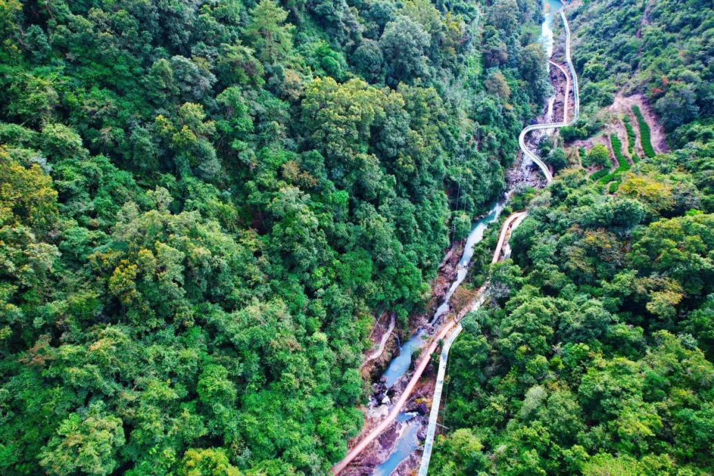 广东启动“跟着美食去旅行”文旅消费促进活动,激发美食消费新活力