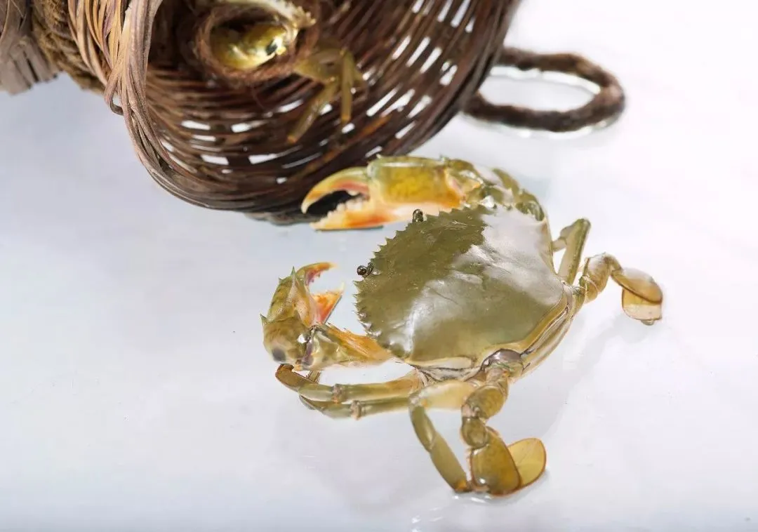 生鲜食材推荐青蟹