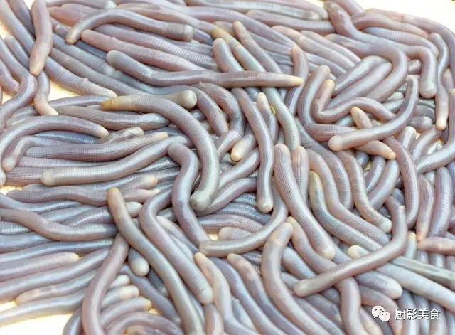 海鲜食材水产排行榜