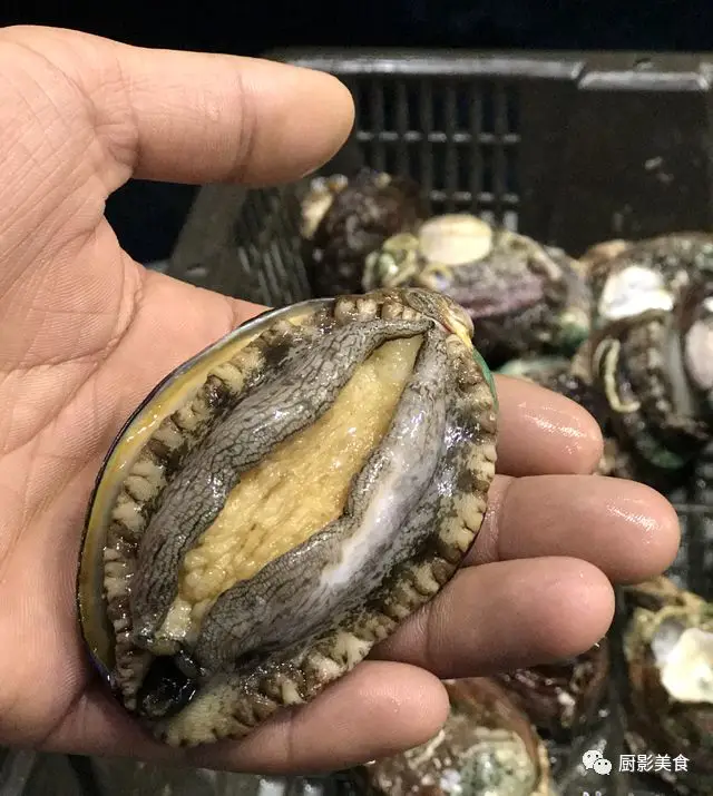 海鲜食材水产排行榜