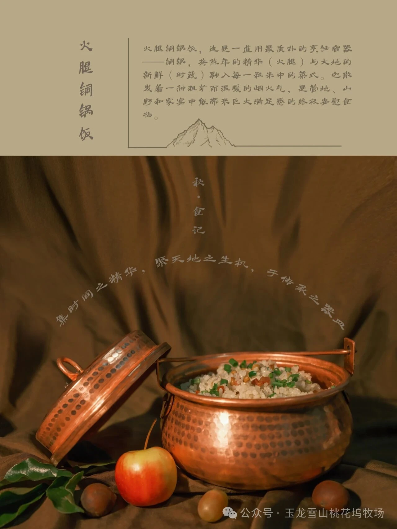 雪山之巅,山珍入馔