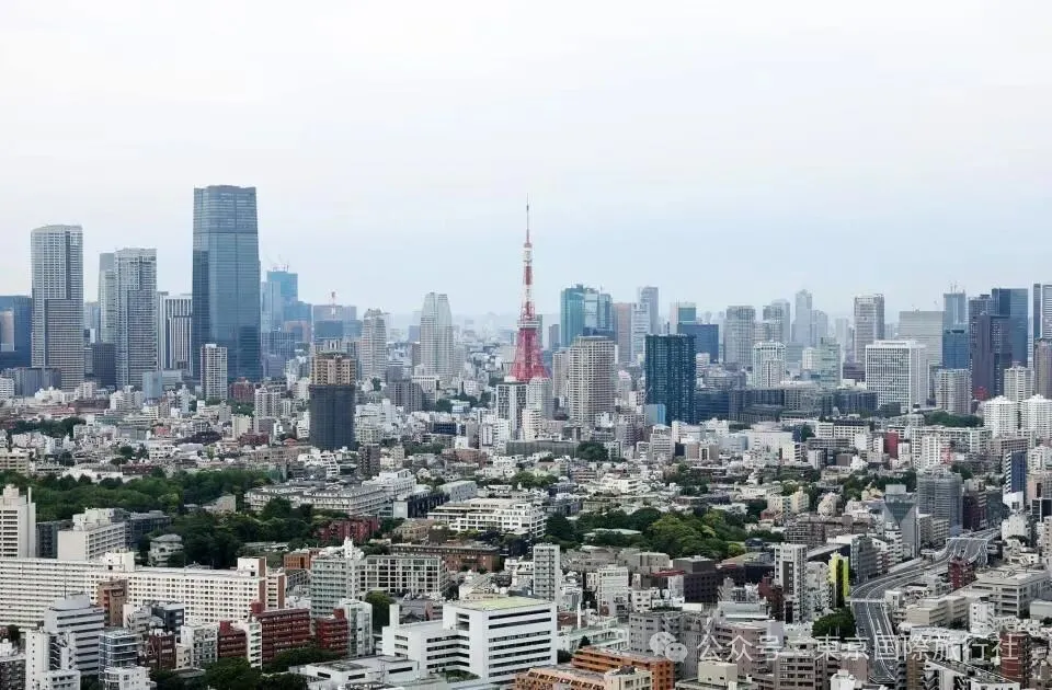 日本鸡蛋价格逼近历史最高值 变身“高级食材”