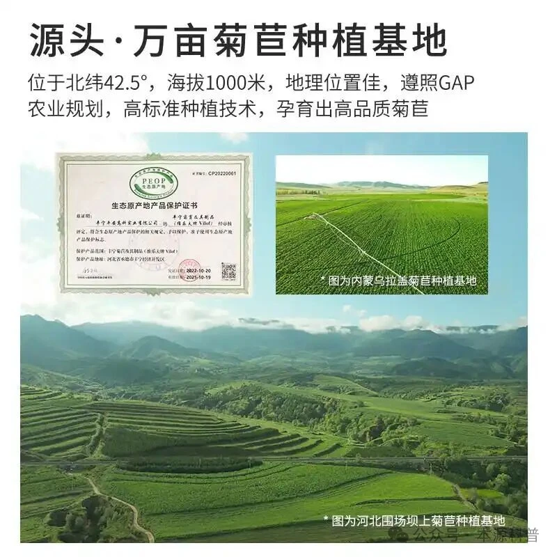 肠道健康守护者:菊粉膳食纤维的日常调理秘籍