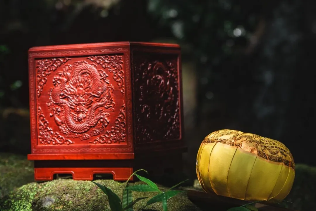 新品上市!中茶九龙贡茶 普洱茶(生茶)紧压茶