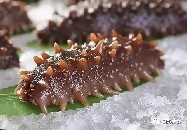 海鲜食材水产排行榜