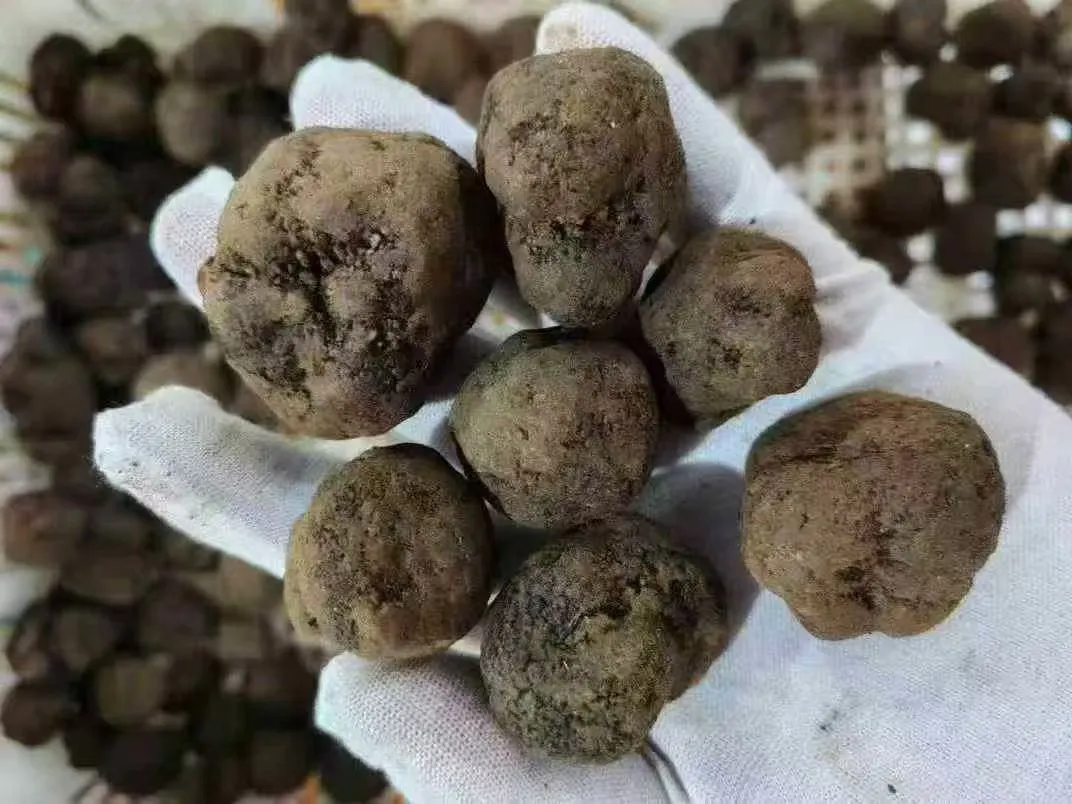 山珍王者的天花板吃法,你试过吗?黑松露×松茸,云南空运,极致体验