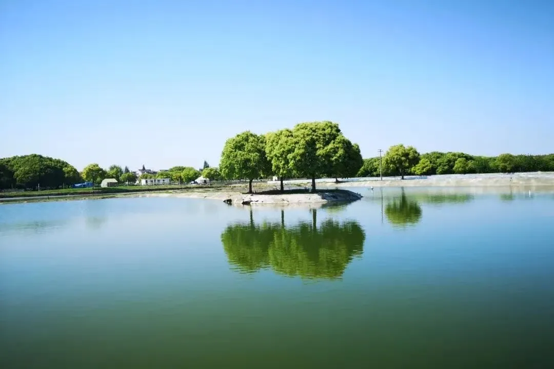 秋风起蟹脚痒,“蟹”逅美味正当时