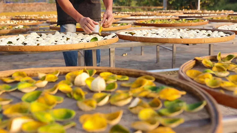 新品来袭!柑柑好金招牌·新会陈皮