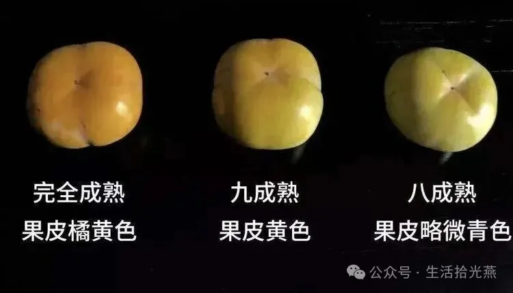 大自然的柿柿如意,最好的健康美食