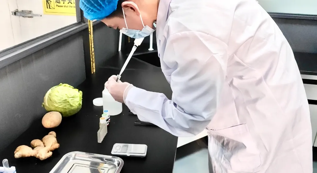 告别繁琐采购!买卖易专业广东餐饮食材配送供应链