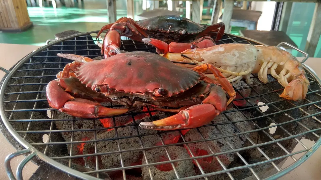 海鲜虽鲜,安全为先:解锁海鲜的正确吃法!