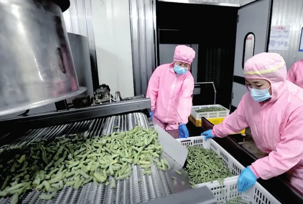 当餐供应链团餐配送中央厨房布局