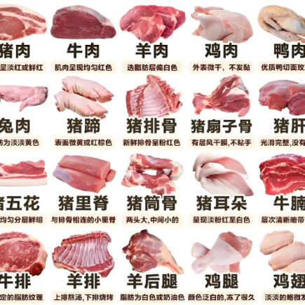 告别繁琐采购!买卖易专业广东餐饮食材配送供应链