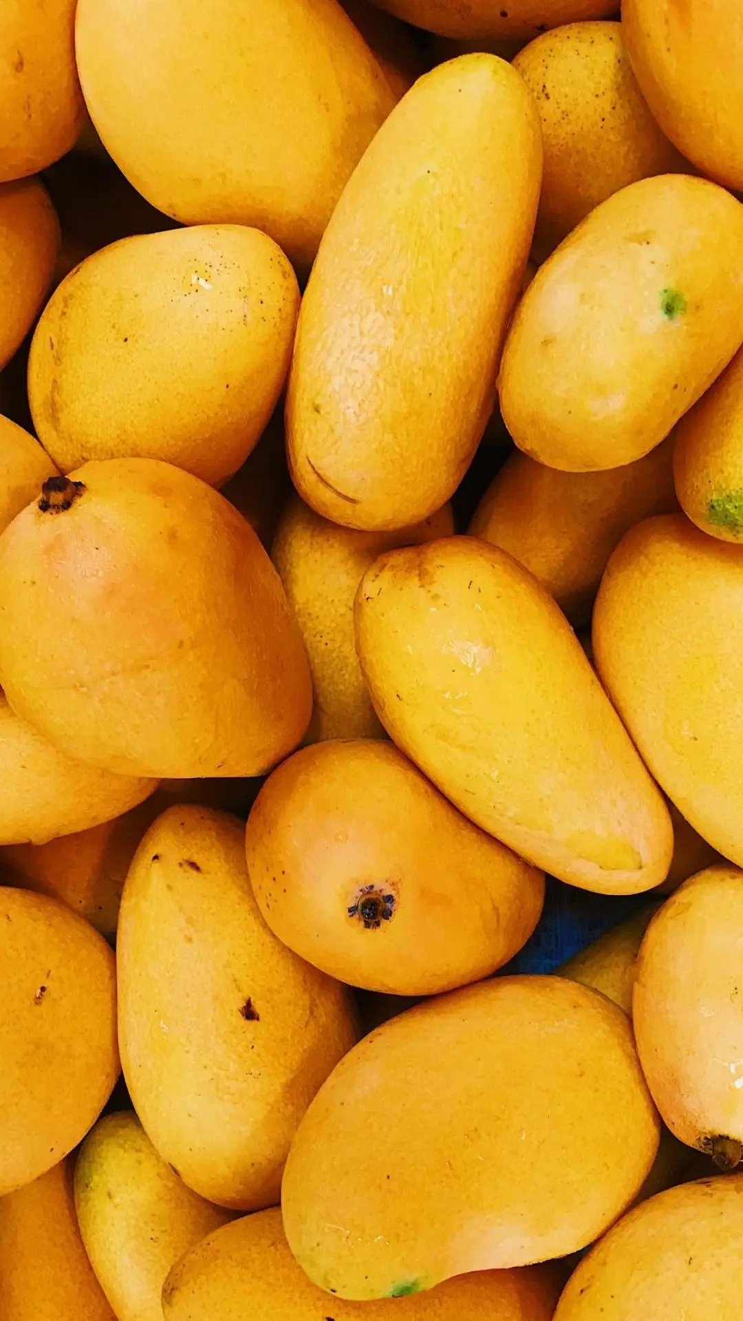 冬启新食韵新品上新,以暖食酿惬意,温柔治愈寒冬