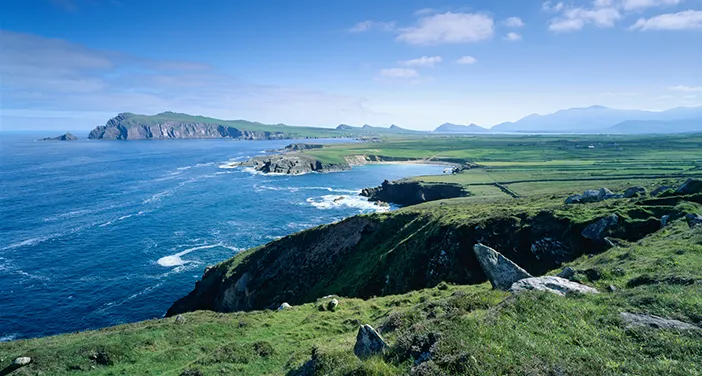 爱尔兰猪肉优质美味,邂逅多彩烹饪艺术