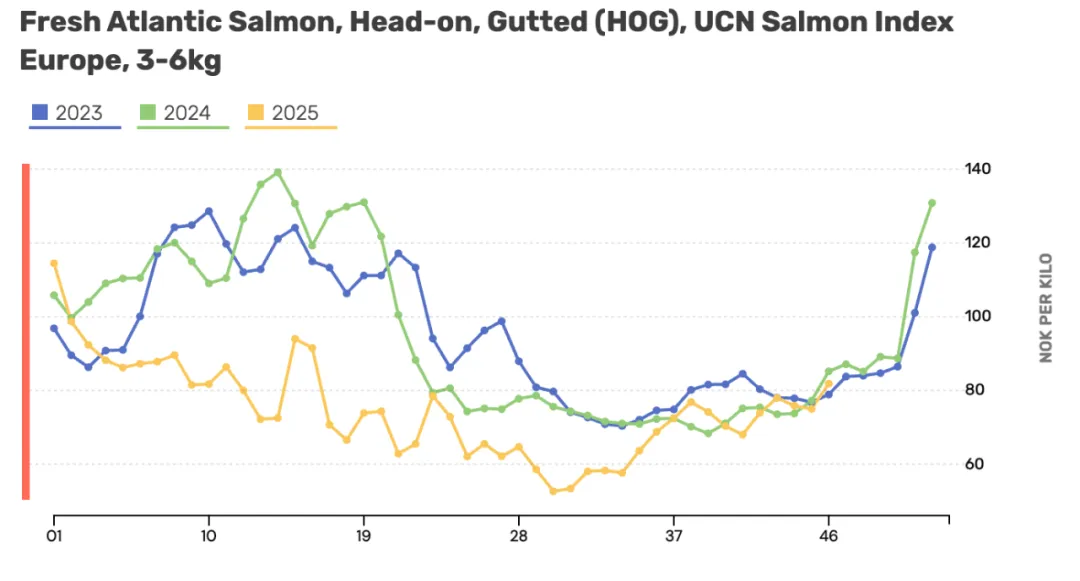 中国餐饮和超市迎来新鱼生(刺身)时代